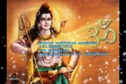 vashikaran specialist astrologer baba ji +91 9950211818