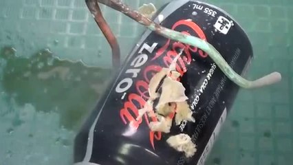 Coke Can in Liquid Nitrogen!