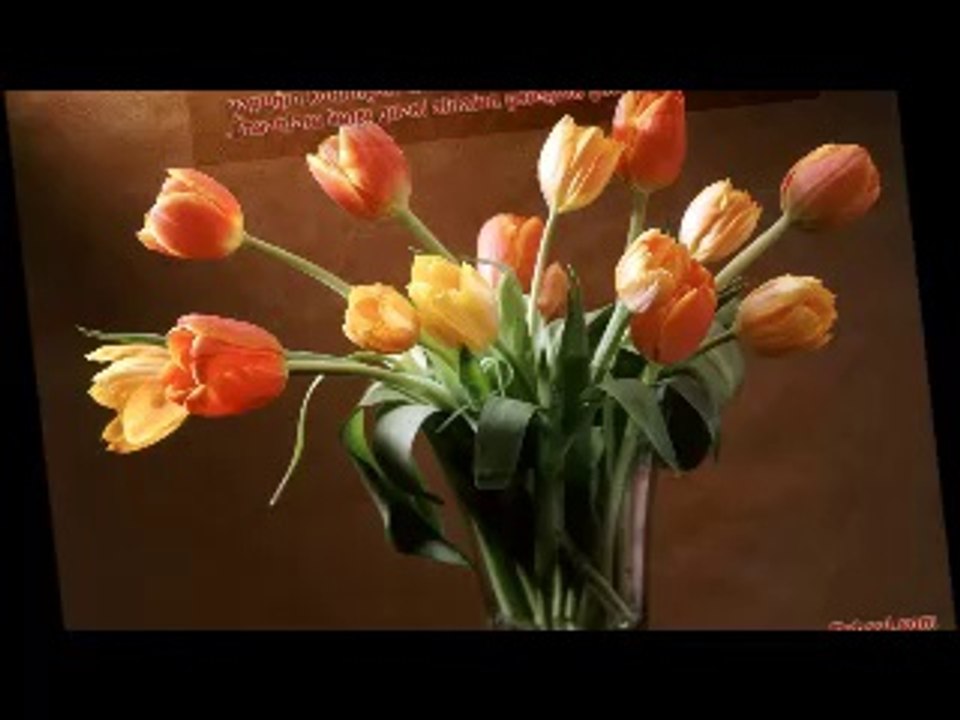 RECEP  AYİ  VE FAZİLETLERİ 3