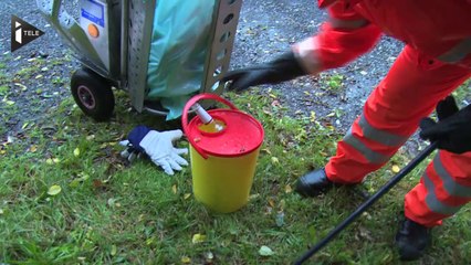 Quand une ville allemande paie des SDF en réinsertion avec de la