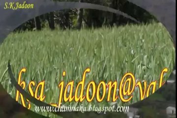 Afshan Zebi New Style Music (Apna Gran Hove)