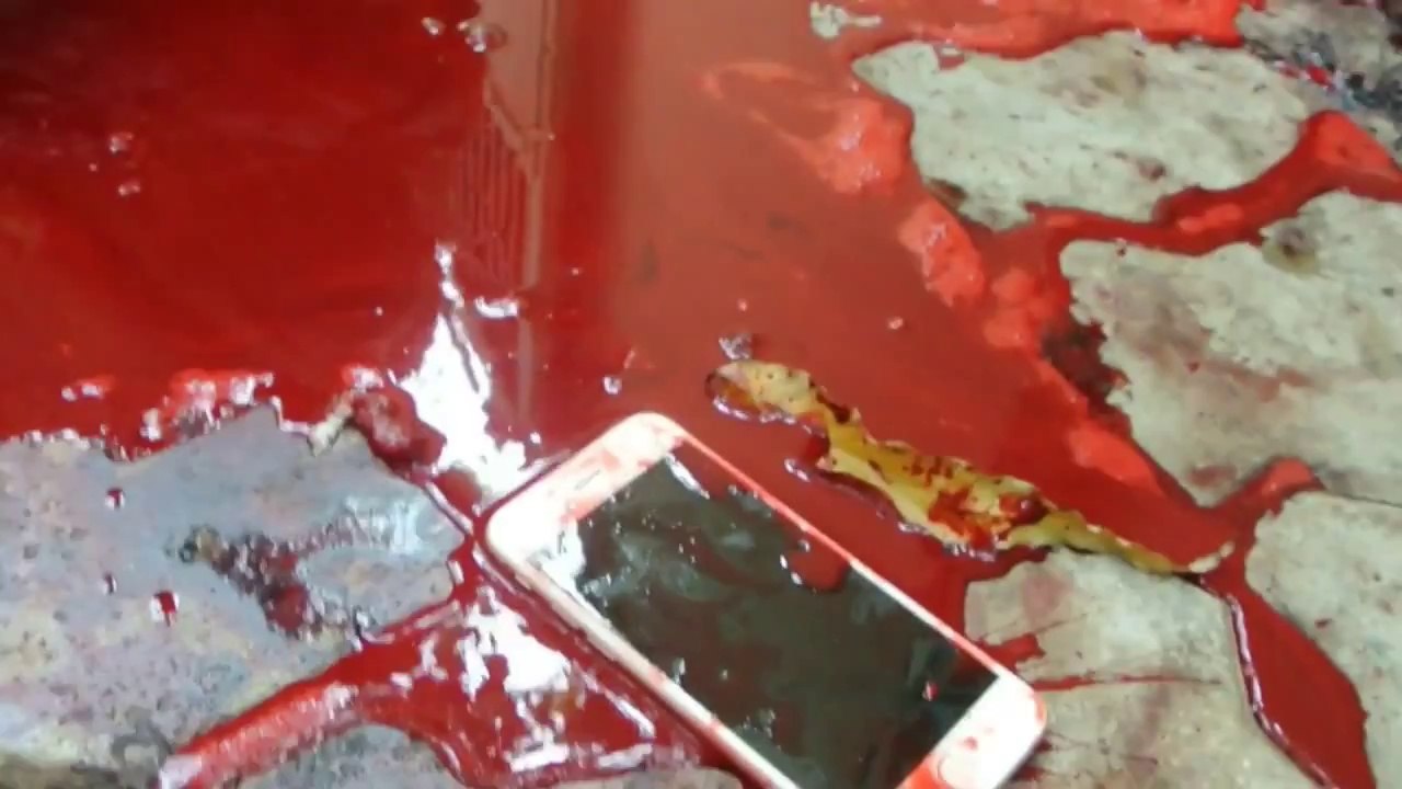 iPhone 6 LIVE Blood Test!