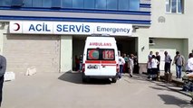 Servis Minibüsünün Çarptığı Kadın ile Torunu Öldü