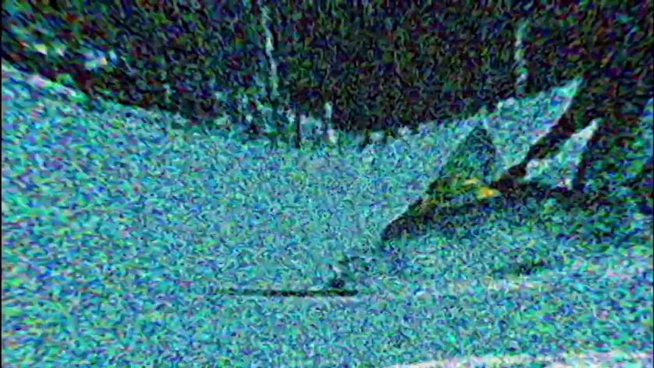 Sled Dreams