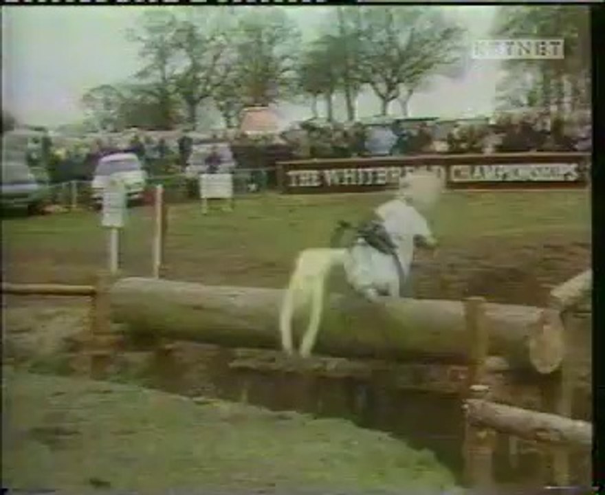 horsejump Funny