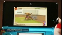 Vidéo Nintendo 3DS avec Nagui