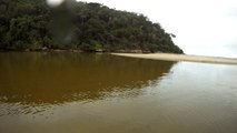 Rio Puruba, Ubatuba, SP, Brasil, mares e rios preservados no Litoral Norte