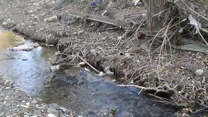 Nizama Adanmış Ruhlar | 2.Bölüm | 1.sezon