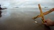 Bumerangue na Praia do Puruba, Ubatuba, SP, Brasil, mares e rios preservados no Litoral Norte