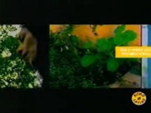 Javiera - El Muchacho de los ojos triste