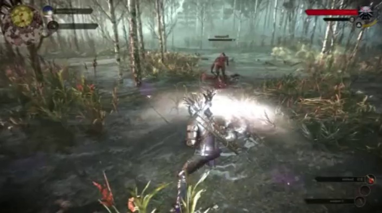 The Witcher 3 Wild Hunt (1)1