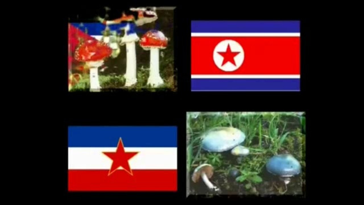 NWO ist auf dem Vormarsch Teil 3