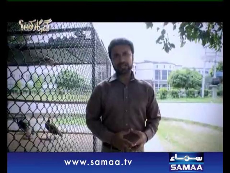 Gunahgar Kaun, 09 Oct 2014 Samaa Tv