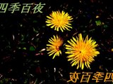 【四季百夜】弟の神隠し　こめつぶ【春】   ニコニコ動画 GINZA