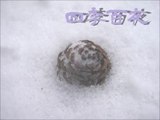 【四季百夜】炬燵の中には　ナヴァリン【冬】   ニコニコ動画 GINZA