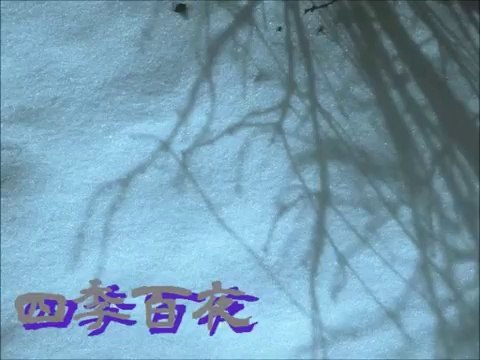【四季百夜】冬の蛇　robin【冬】 ニコニコ動画 GINZA