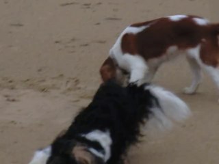 Juliane découvre la mer