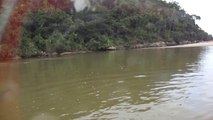 Bumerangues em voos,  Rio do Puruba, Ubatuba, SP, Brasil, mares e rios, Natureza Selvagem