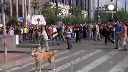 «Λουκάνικος» ένας σκύλος, που έγραψε ιστορία