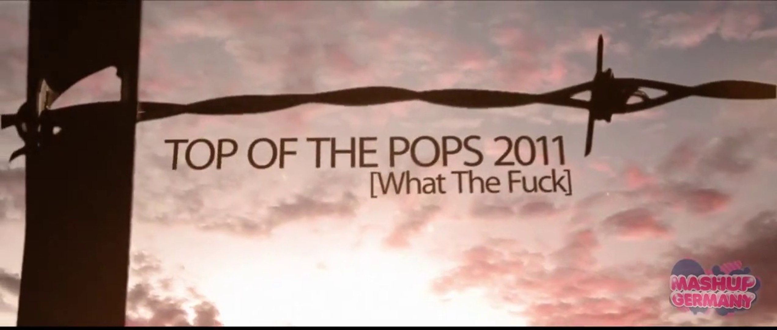 Mashup Germany Top Of The Pops 2011 What The Fuck 5D Version - video  Dailymotion