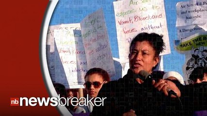 Airline Cabin Cleaners Go On Strike For Fear of Contracting Ebola