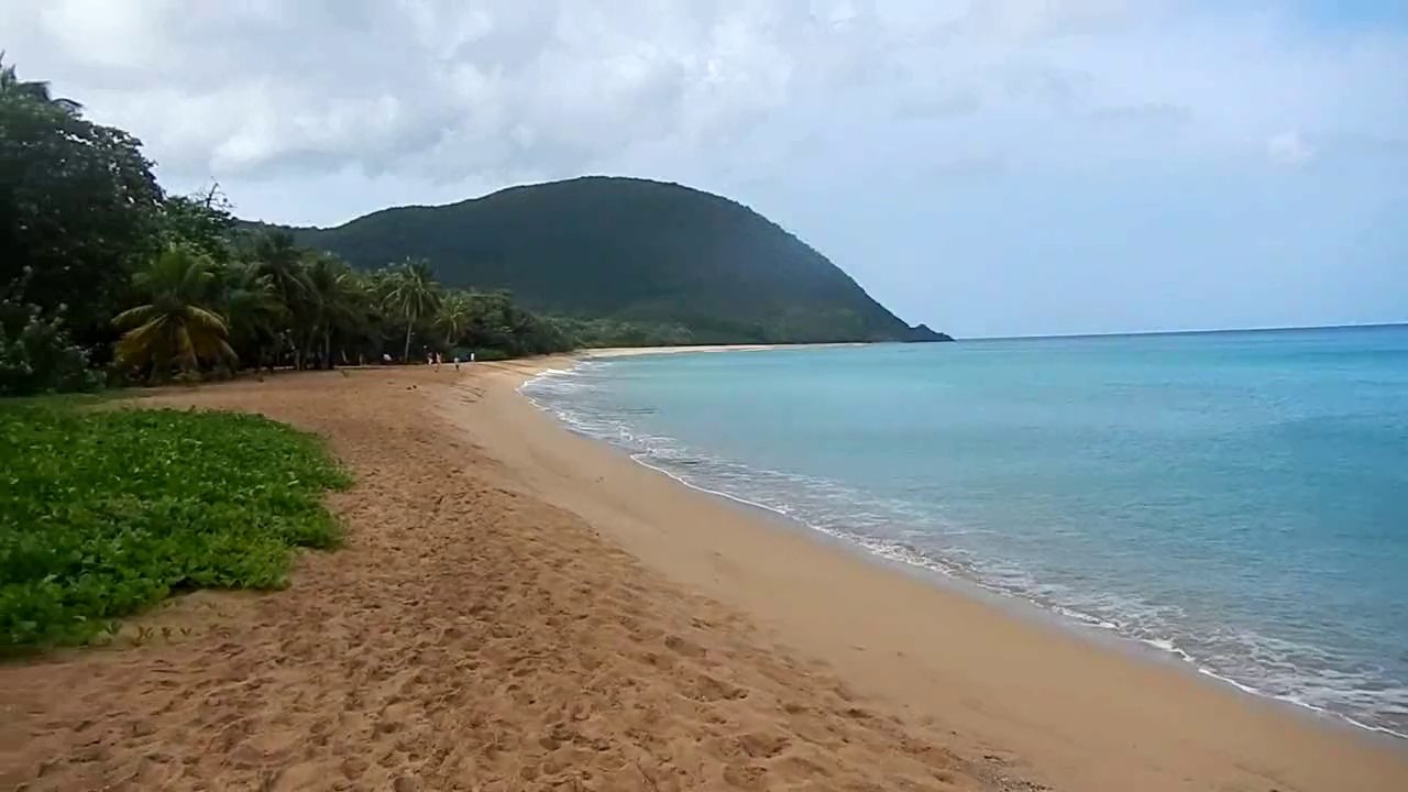 plage-guadeloupe-mer-caraibes