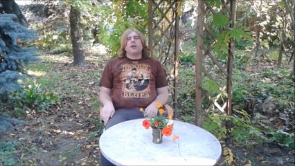 The Soundrops - The Other Side