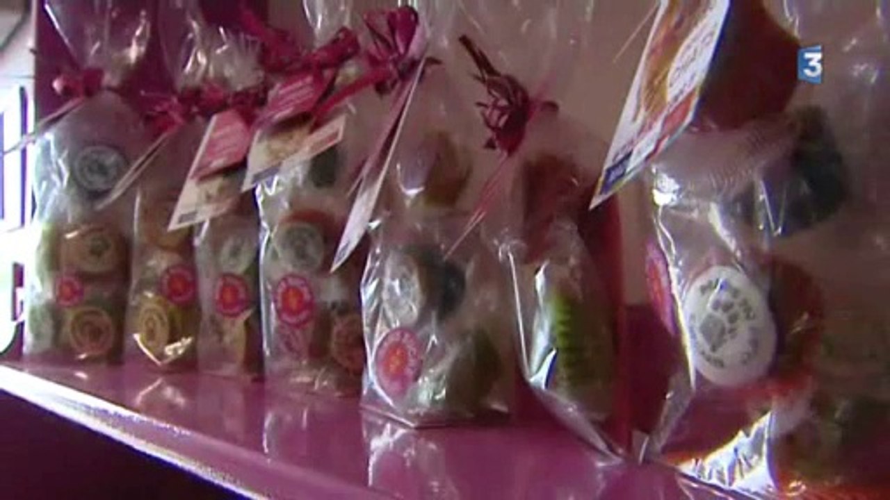 BEZIERS - 2014 - Une entreprise Bitérroise MADE in PET  lauréate  au niveau national du Concours Talents Jeune Pousse 2014