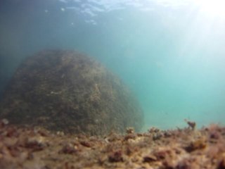 Expedição, Arquipélago do Prumirim, Natureza Marinha, Selvagem, Praias, Mares, Ubatuba, SP, Brasil, Marcelo Ambrogi, (19)