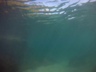 Expedição, Arquipélago do Prumirim, Natureza Marinha, Selvagem, Praias, Mares, Ubatuba, SP, Brasil, Marcelo Ambrogi, (33)