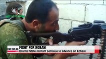Coalition airstrikes push IS militants out of Syria's Kobani