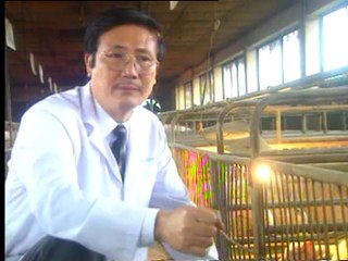 Phòng bênh sinh sản cho lợn lai phần 2