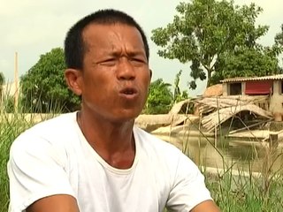Hướng dẫn quy trình xen canh cá lúa