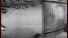 Sittin on a Back Yard Fence 1933 high quality
