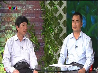 Cơ giới hóa trong thu hoạch chè- Nghề nông