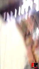 Drugstore Cashier Dog - Fails world