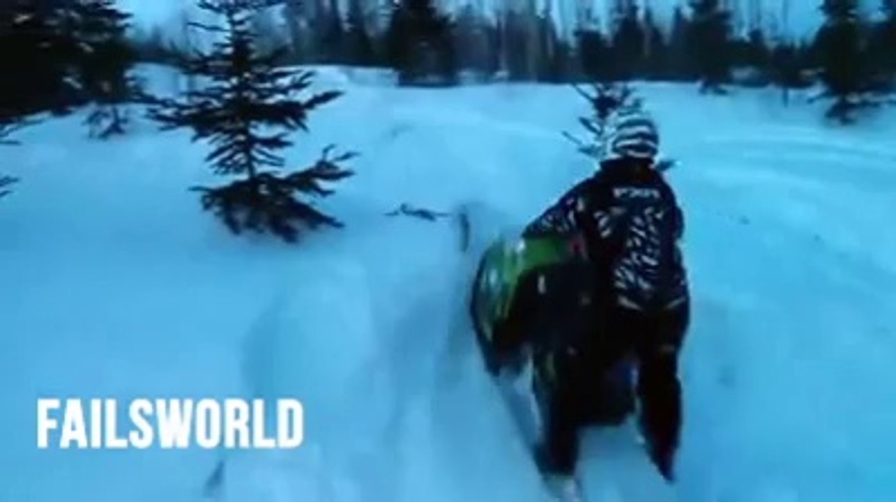 never share your sled