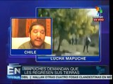 Los derechos del pueblo mapuche han sido vulnerados: experto