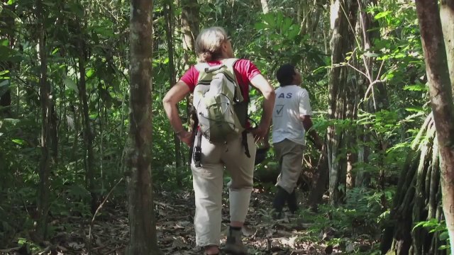 VOYAGE BOLIVIEN : DU PACIFIQUE A L'AMAZONIE - GOUBIER - Bande-annonce VF