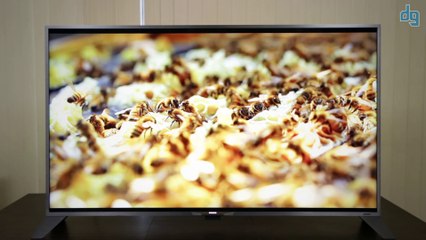 Philips'in Android İşletim Sistemli PUS8809 TV'si ile 4K Görüntü Kalitesi Deneyimi