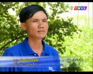 Sử dụng phân bón lá trên vườn cây ăn trái (phần 2)- Nghề nông