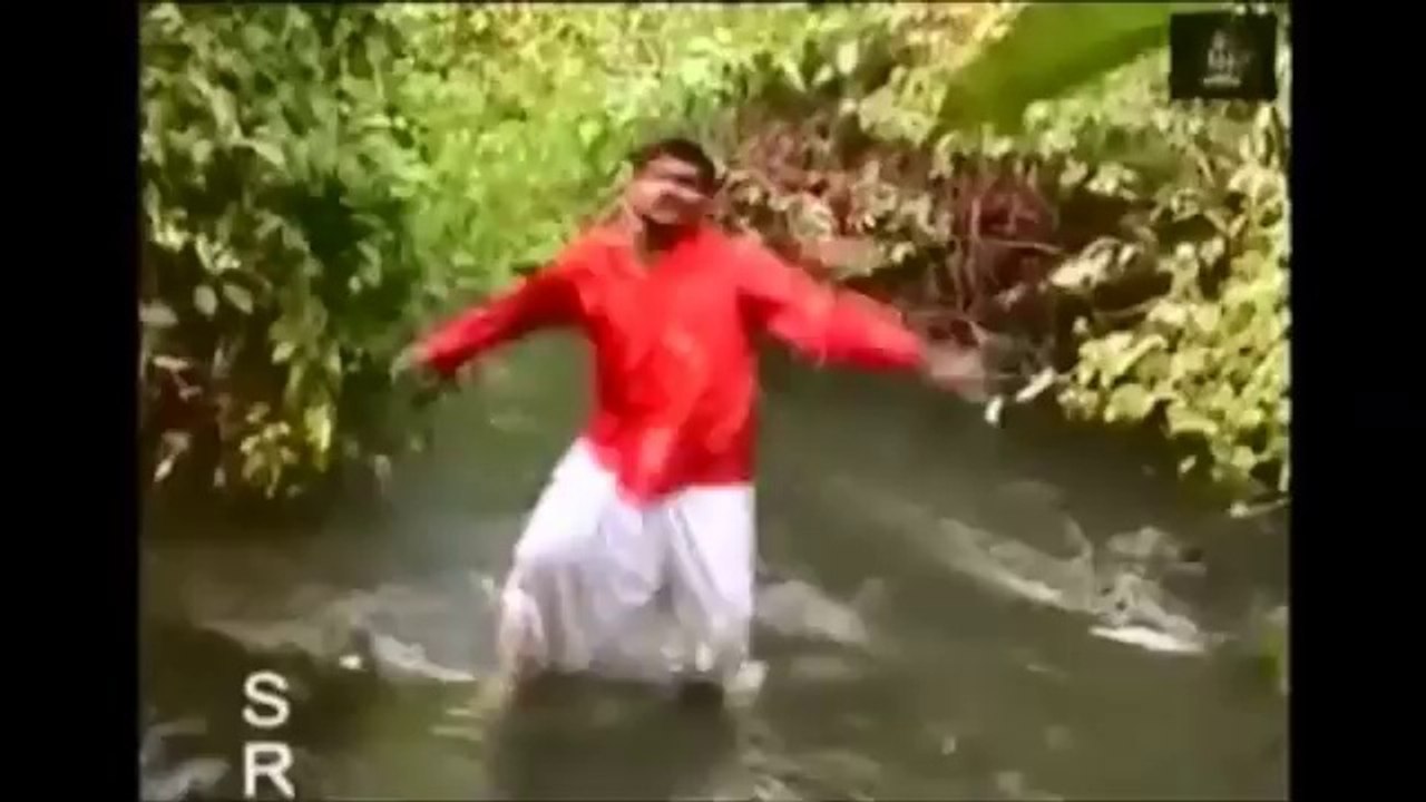 Nallani Meni Pilla - Telangana folk song