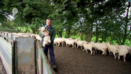 Giving Nature a Home - Gethin Owen