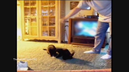 ☺﻿ America's funniest Home Videos Part 39 _ OrangeCabinet