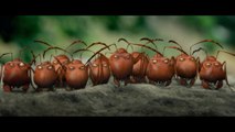 Minuscule, la vallée des fourmis perdues (Bluray DVD)