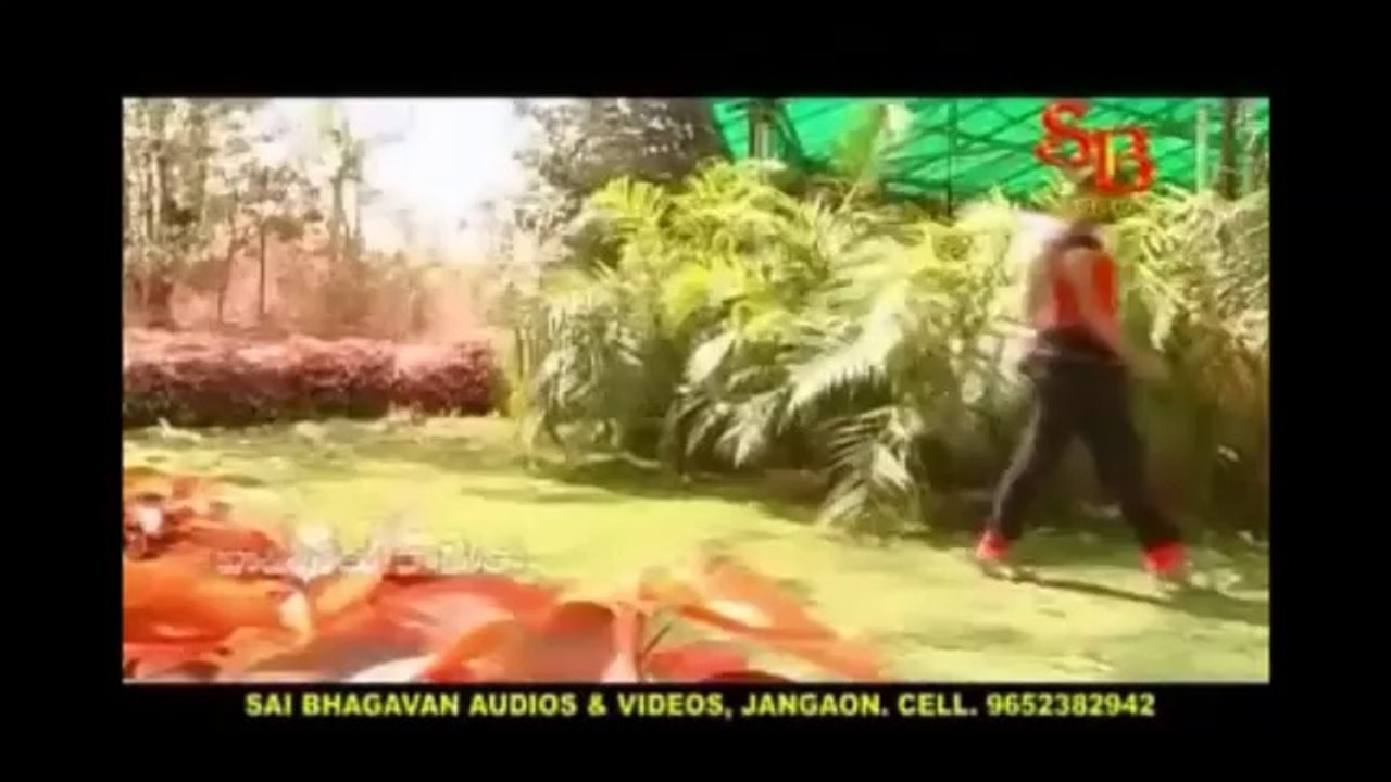 Cheli Valapu Vaana kurisindi madilonaa - telangana amazing folk song