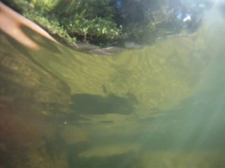 Expedição, Arquipélago do Prumirim, Natureza Marinha, Selvagem, Praias, Mares, Ubatuba, SP, Brasil, Marcelo Ambrogi, (36)