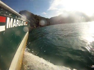 Expedição, Arquipélago do Prumirim, Natureza Marinha, Selvagem, Praias, Mares, Ubatuba, SP, Brasil, Marcelo Ambrogi, (41)