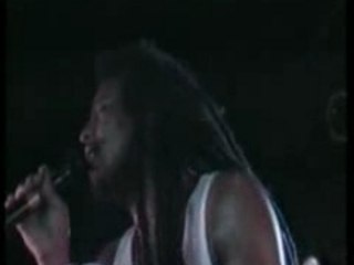 Maxi Priest - Wild World -Sunsplash