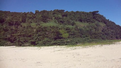 Expedição, Arquipélago do Prumirim, Natureza Marinha, Selvagem, Praias, Mares, Ubatuba, SP, Brasil, Marcelo Ambrogi, (52)